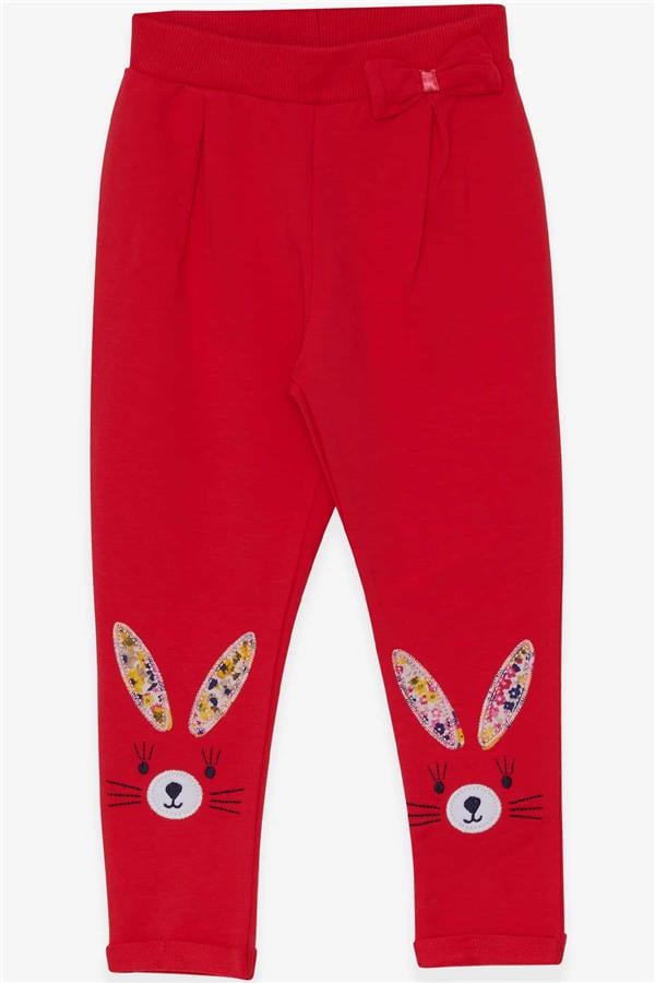 Baby Girl Leggings Pants with Rabbit Embroidery, Pomegranate Blossom (9 Months-1 Years)