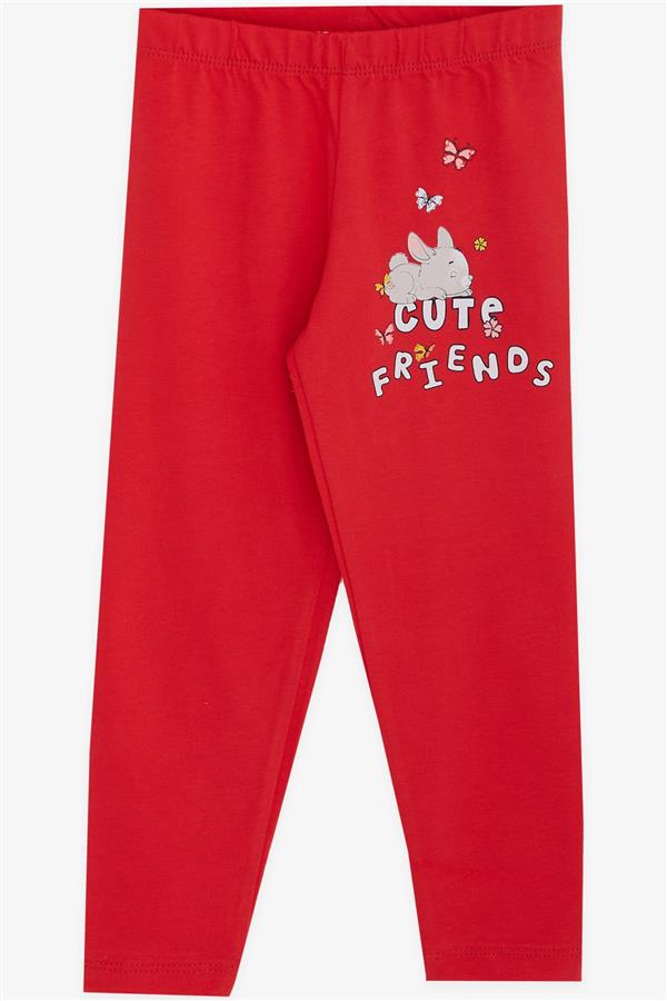 Baby Girl Leggings Set with Rabbit Print, Beige Melange (9 Months-3 Years)