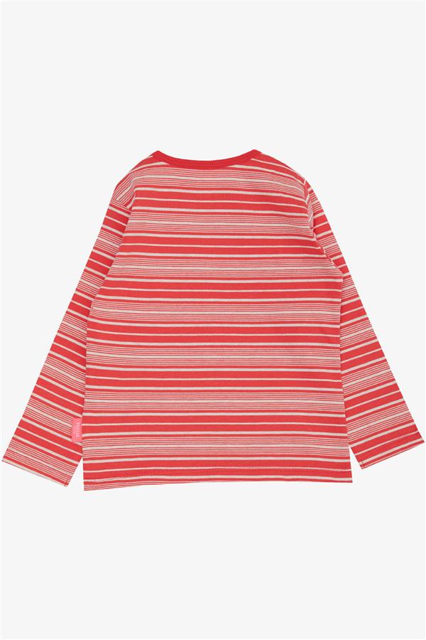 Baby Girl Long-Sleeve T-Shirt, Striped, Pomegranate Blossom (9 Months-1 Years)