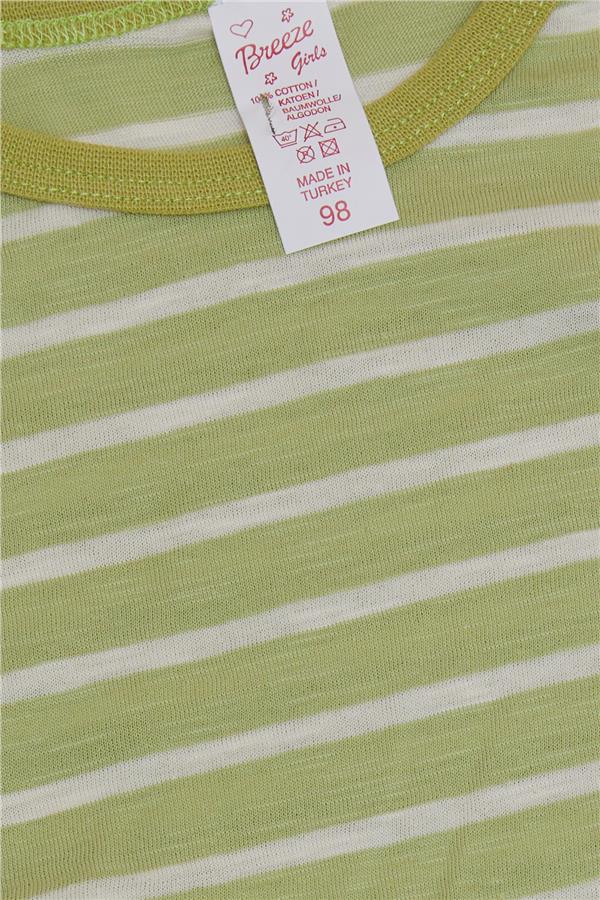 Baby Girl Long-Sleeve T-Shirt, Striped, with Teddy Bear Print, Pistachio Green (9 Months-1 Years)