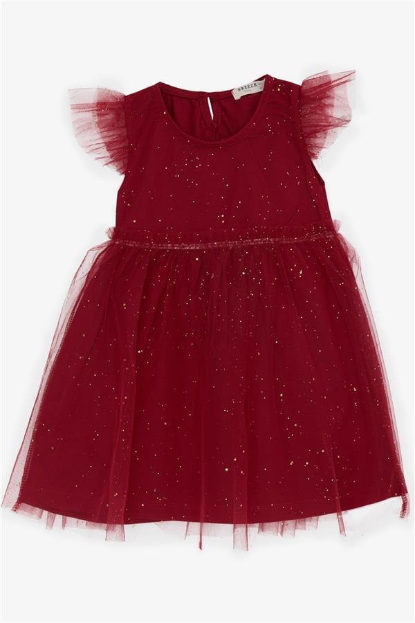 Girl's Dress with Glitter, Tulle and Ruffles, Plum Color (3-4 Years)