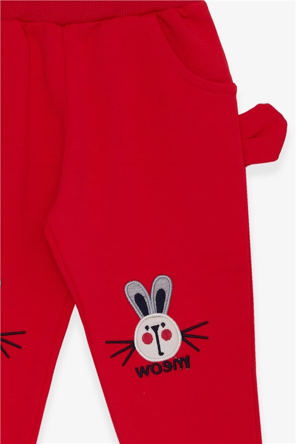 Baby Girl Sweatpants with Bunny Embroidery, Pomegranate Blossom (1-1.5 Years)