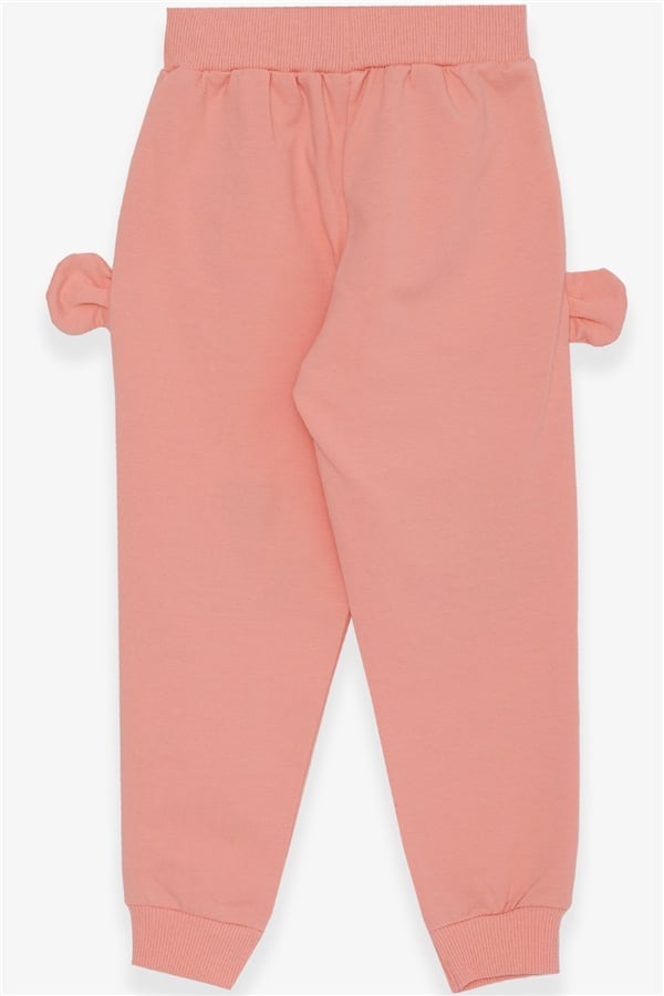 Baby Girl Sweatpants with Bunny Embroidery, Salmon Color (1-2 Years)