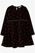 Baby Girl Velvet Long-Sleeved Dress with Floral Pattern, Black (2 Years)