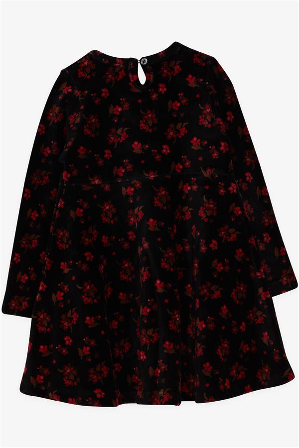 Baby Girl Velvet Long-Sleeved Dress with Floral Pattern, Black (2 Years)