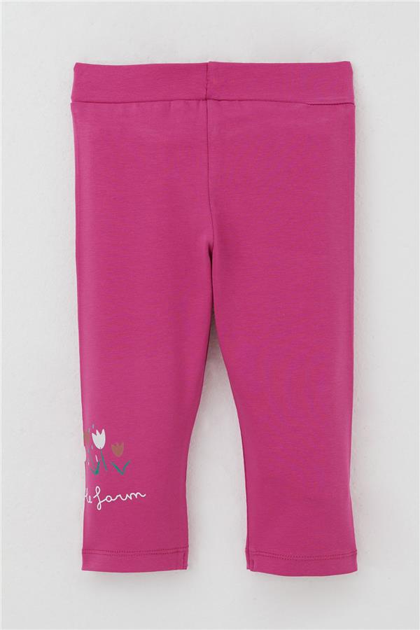 Girls' Capri Leggings Set, Girl's Print, Light Grey Melange (1-4 Years)