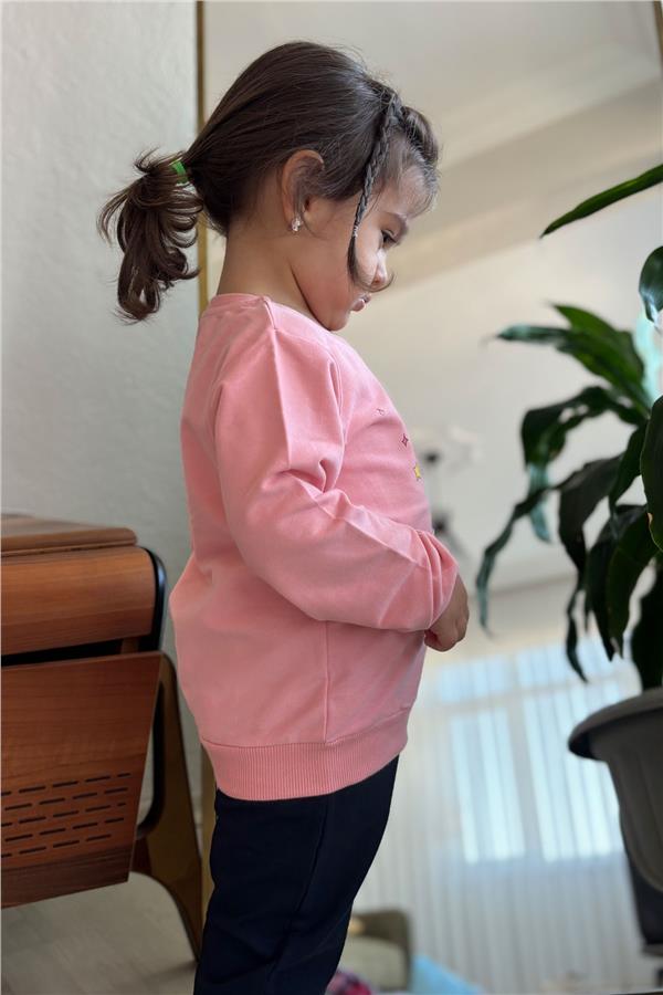 Baby Girl Sweatshirt Printed Sequin Unicorn Salmon (2 Years)