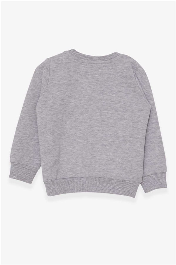Baby Girl Sweatshirt with Unicorn Print, Grey Melange (1.5-2 Years)