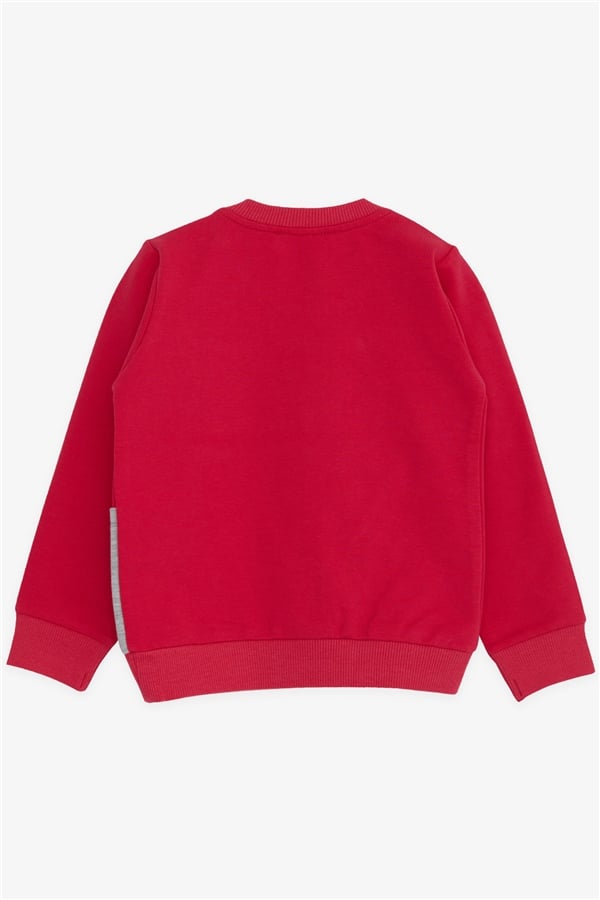 Girls' Sweatshirt with Dog Print, Fuchsia (Ages 2-6)