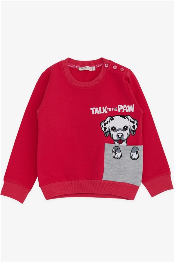 Girls' Sweatshirt with Dog Print, Fuchsia (Ages 2-6)