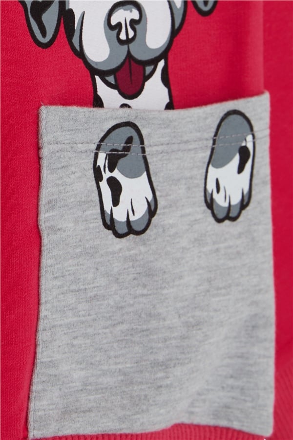 Girls' Sweatshirt with Dog Print, Fuchsia (Ages 2-6)