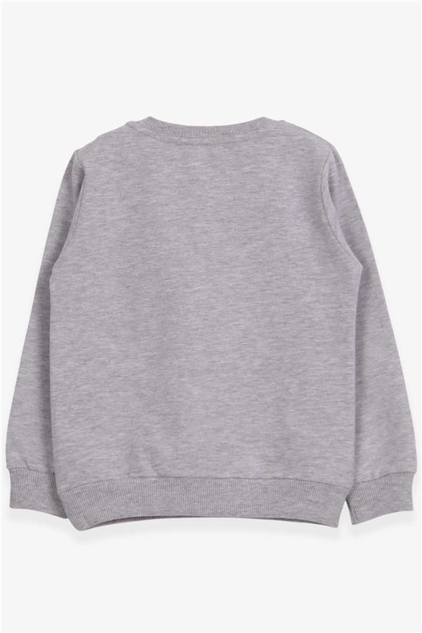 Baby Girl Sweatshirt Unicorn Print Grey Melange (2 Years)