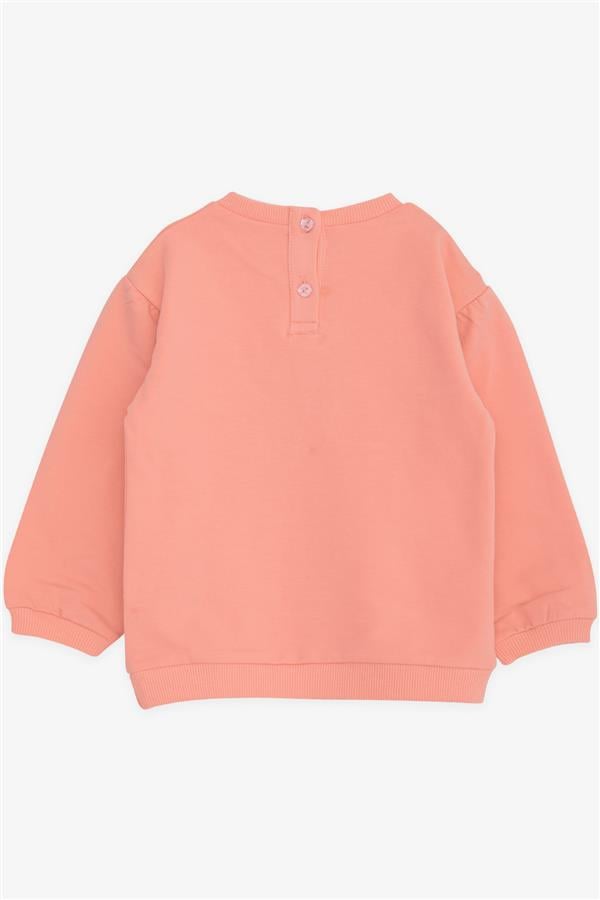 Girls' Sweatshirt with Unicorn Print, Salmon (9 Months-3 Years)
