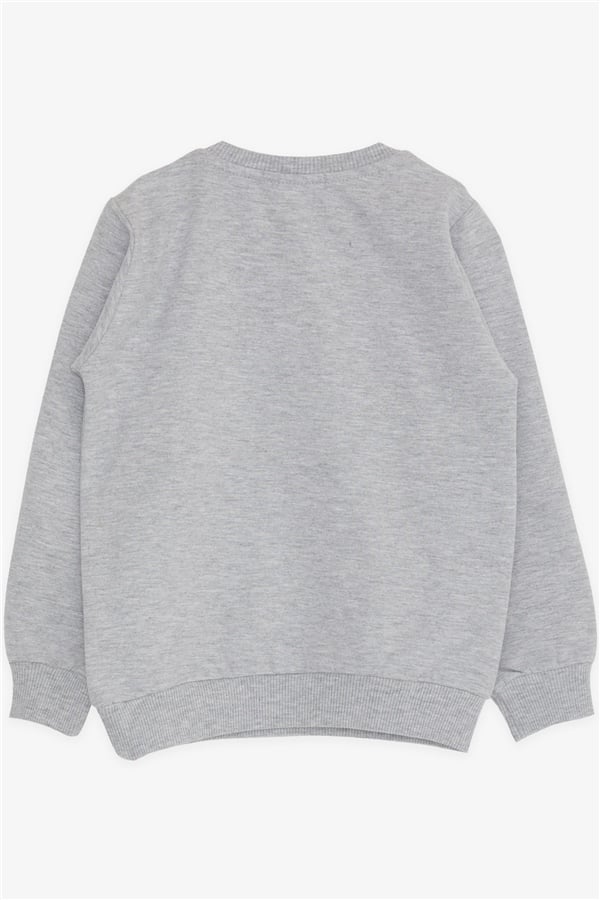 Baby Girl Sweatshirt Unicorn Print Grey Melange (2 Years)