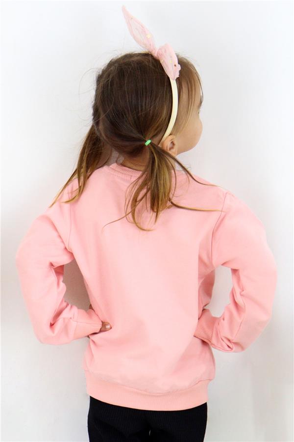 Baby Girl Sweatshirt Unicorn Salmon (2 Years)