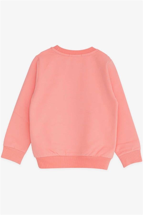 Baby Girl Sweatshirt Unicorn Salmon (2 Years)