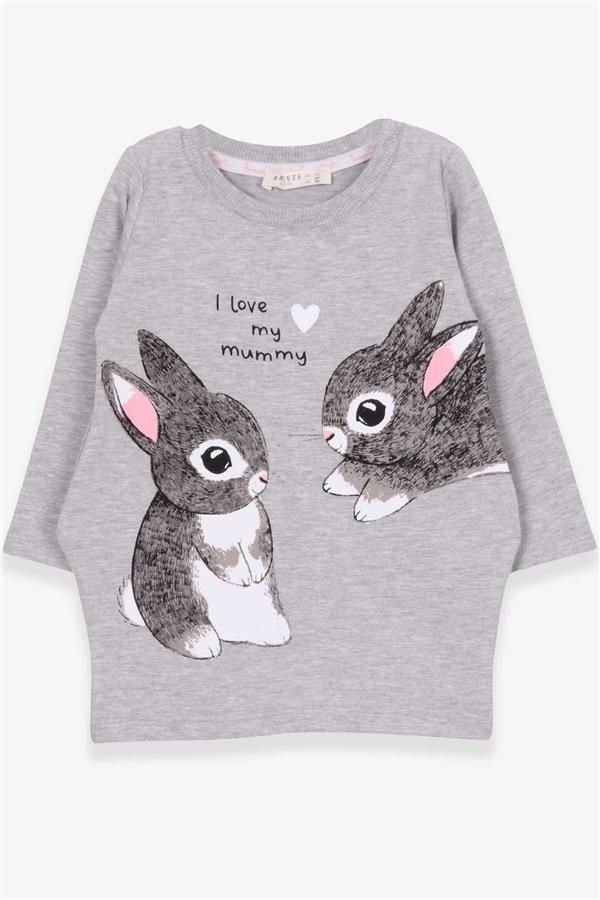Baby Girl Tunic with Rabbit Pattern, Grey Melange (1.5 Years)