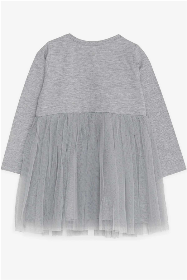 Baby Girl Long-Sleeved Dress, Printed Tulle, Grey Melange (1.5-2 Years)