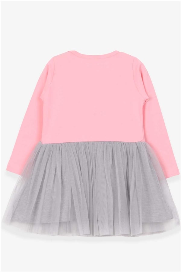 Baby Girl Long-Sleeved Dress, Printed Powder Pink (1.5-2 Years)