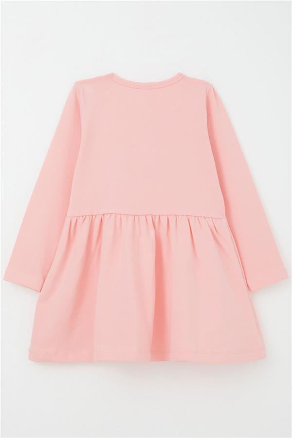 Girl's Long-Sleeved Dress with Colorful Flower Embroidery, Pink (1.5-3 Years)
