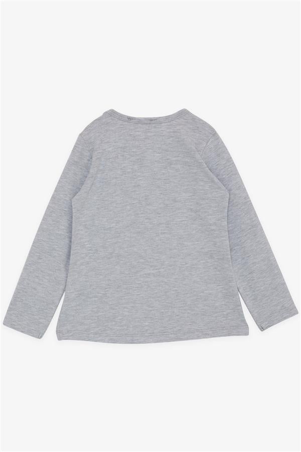 Girls' Long-Sleeve T-Shirt with Pockets, Cute Elephant Print, Grey Melange (1.5-5 Years)
