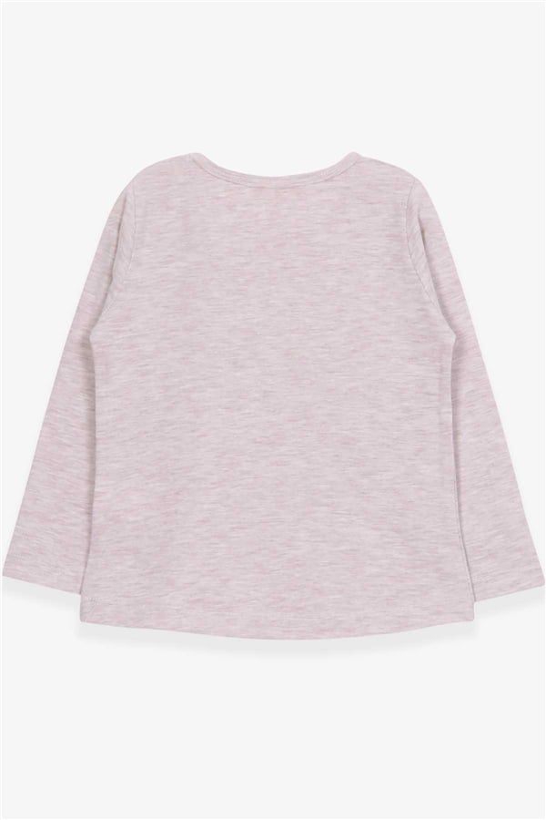 Girls' Long-Sleeved T-Shirt with Lace Trim, Beige Melange (Ages 2-6)