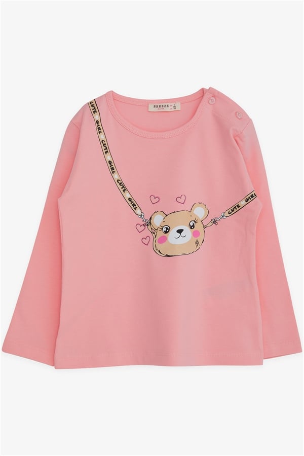 Baby Girl Long-Sleeve T-Shirt with Cute Teddy Bear Print, Pink (2 Years)